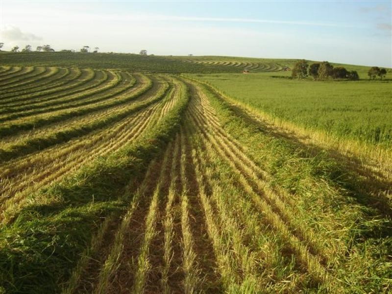 BURWOOD ROAD, Wistow SA 5251