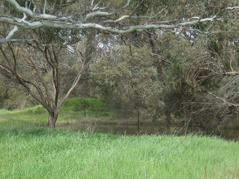 Section 2065 Signal Flat Road, Finniss SA 5255