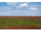 Langhorne Creek SA 5255
