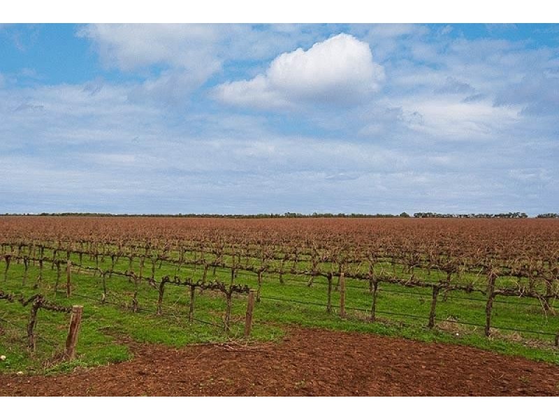 Langhorne Creek SA 5255