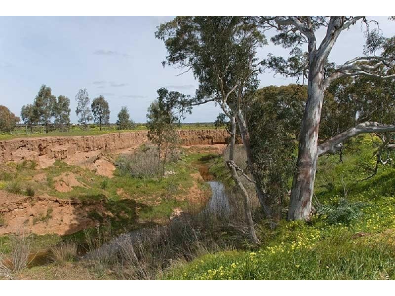 Lot 1 Angas Plains Road, Strathalbyn SA 5255