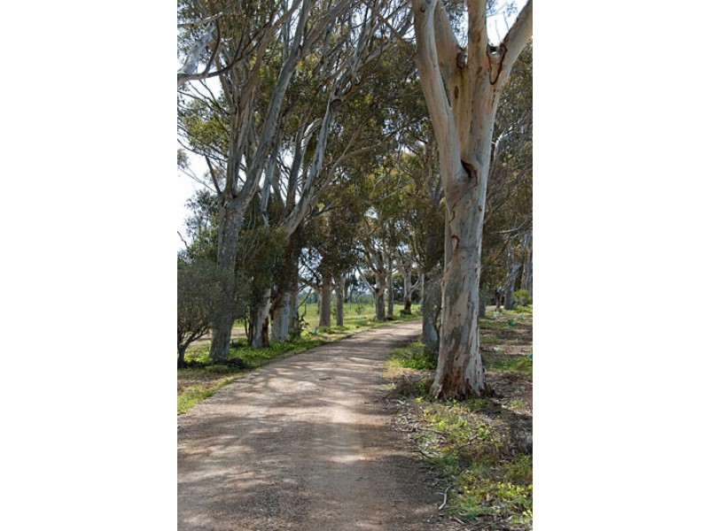 Lot 1 Angas Plains Road, Strathalbyn SA 5255