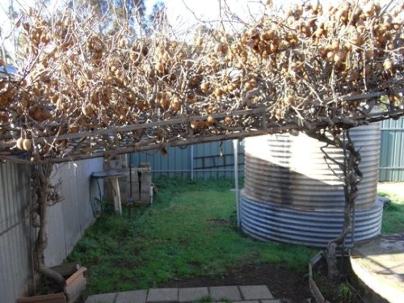 14 North Parade, Strathalbyn SA 5255