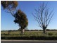 Lot 80 Langhorne Creek Road, Strathalbyn SA 5255
