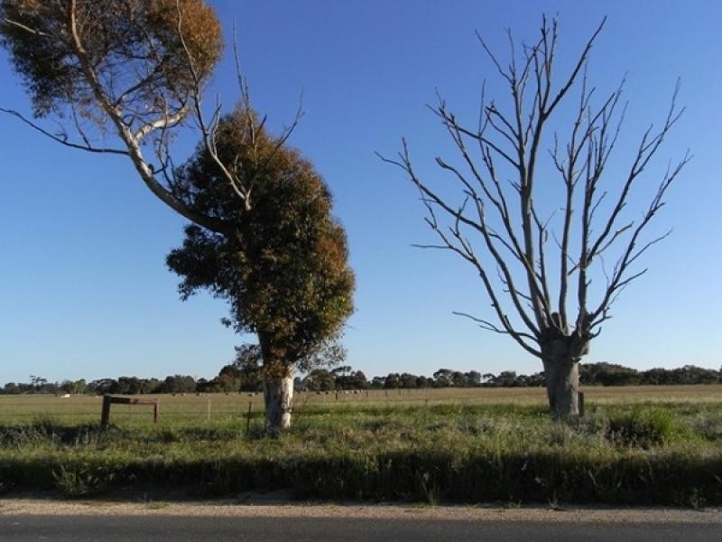 Lot 80 Langhorne Creek Road, Strathalbyn SA 5255