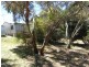 24 Shoreline Drive, Clayton SA 5256