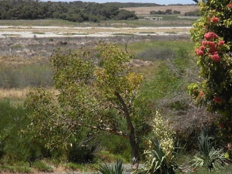 24 Shoreline Drive, Clayton SA 5256