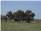 Lot 5/ Clements  Road, Belvidere SA 5255
