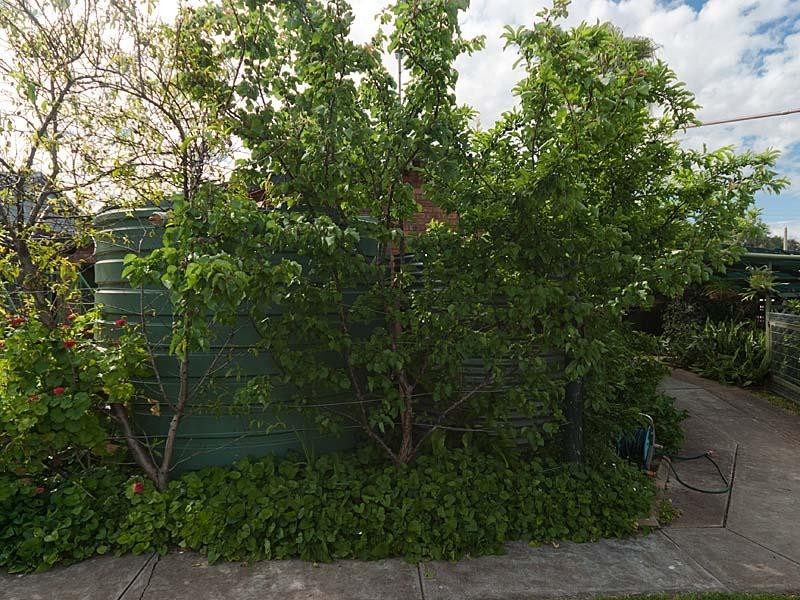 37 Marchant Road, Strathalbyn SA 5255