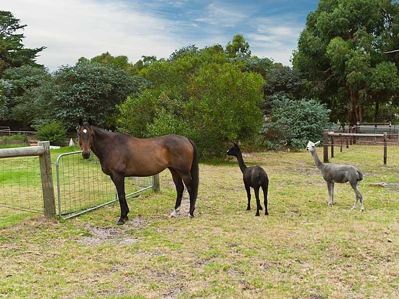 Section 353 Nangkita Road, Mount Compass SA 5210