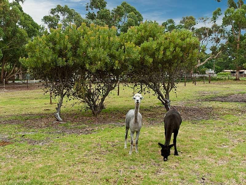 Section 353 Nangkita Road, Mount Compass SA 5210