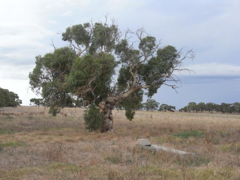 Section 2065 Signal Flat Road, Finniss SA 5255