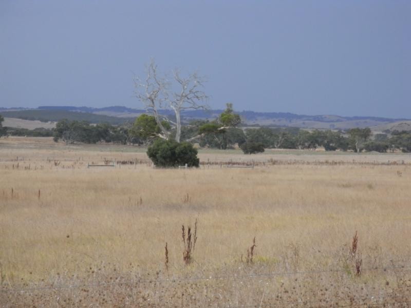 Section 2065 Signal Flat Road, Finniss SA 5255