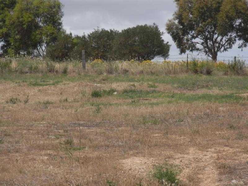 Lot 18 Field Drive, Strathalbyn SA 5255