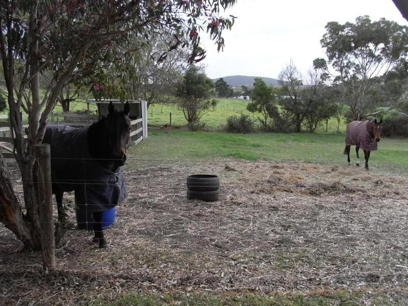 26A Cleland Gully Road, Tooperang SA 5255