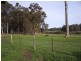 241 Gibb Road, Kaloorup WA 6280