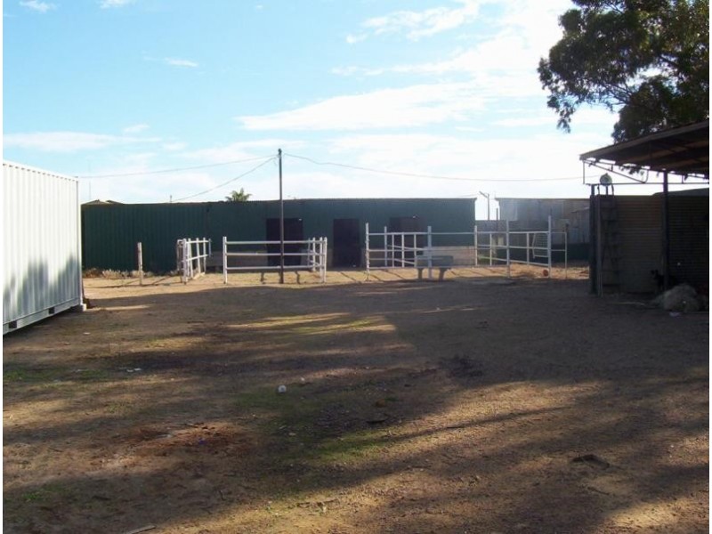 12 Young Street, Risdon Park SA 5540