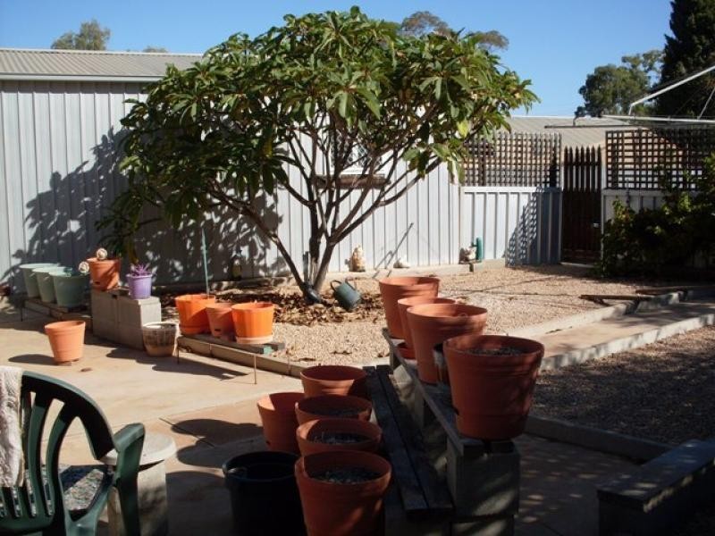 31 Threadgold Street, Risdon Park SA 5540