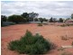 Lot 29 Peterson Circuit, Risdon Park SA 5540