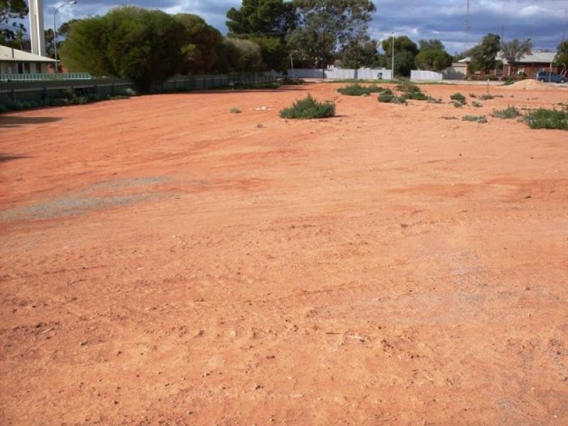 Lot 29 Peterson Circuit, Risdon Park SA 5540