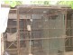 17 First Street, Wirrabara SA 5481