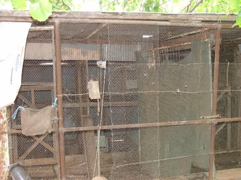 17 First Street, Wirrabara SA 5481