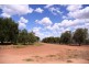 Lot 4 Scenic Drive, Napperby SA 5540
