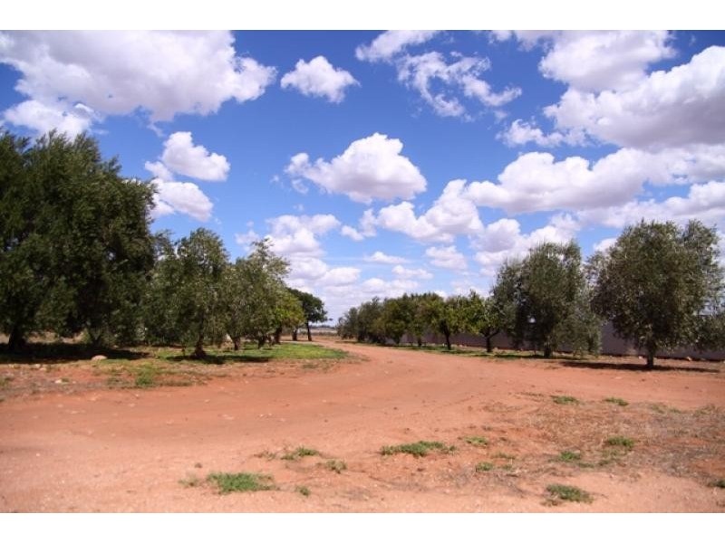 Lot 4 Scenic Drive, Napperby SA 5540