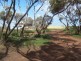 Sections 3 & 211 Barrows Beach Road, Baroota SA 5495