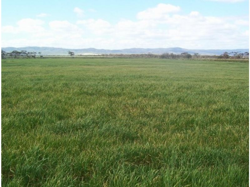 Sections 3 & 211 Barrows Beach Road, Baroota SA 5495