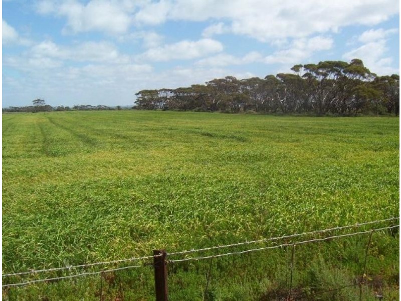 Sections 3 & 211 Barrows Beach Road, Baroota SA 5495