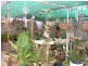 42 Park Terrace, Gladstone SA 5473