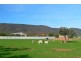 Lot 4 Scenic Drive, Napperby SA 5540