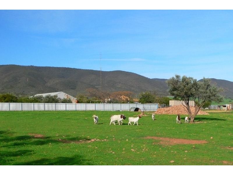 Lot 4 Scenic Drive, Napperby SA 5540