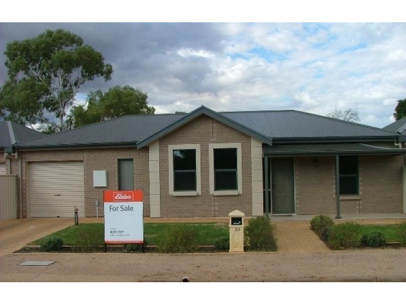 23 South Street, Risdon Park SA 5540