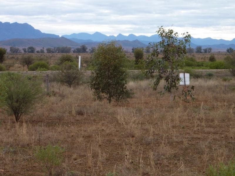 Lot 3 Wilpena Road, Hawker SA 5434