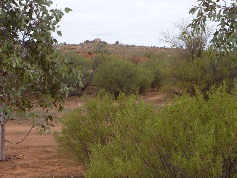 Lot 3 Wilpena Road, Hawker SA 5434