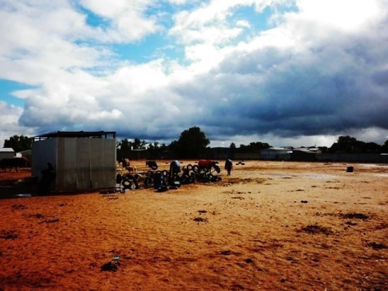 Section 371/ Covino Road, Mullaquana, Whyalla SA 5600