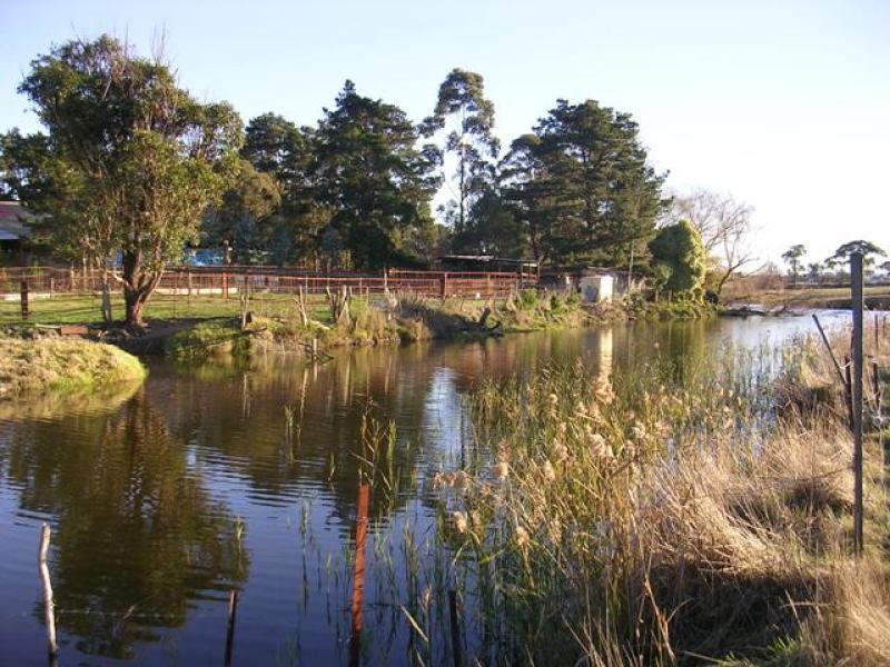 240 SWITCHBACK ROAD, Churchill VIC 3842