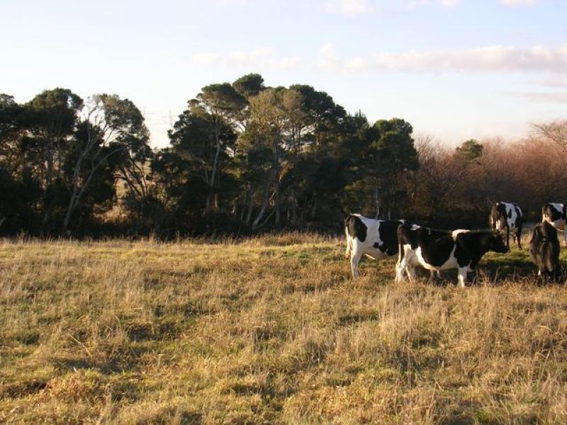 240 SWITCHBACK ROAD, Churchill VIC 3842