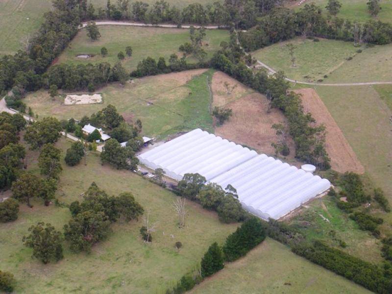 275 FOREST ROAD, Labertouche VIC 3816