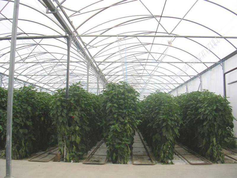 275 FOREST ROAD, Labertouche VIC 3816