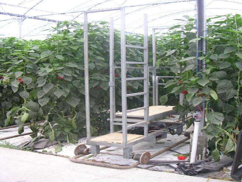 275 FOREST ROAD, Labertouche VIC 3816