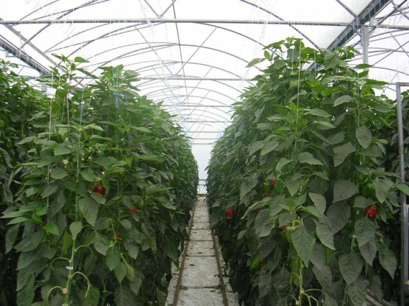 275 FOREST ROAD, Labertouche VIC 3816