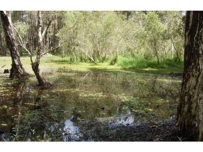 105 COBB ROAD, Burpengary QLD 4505