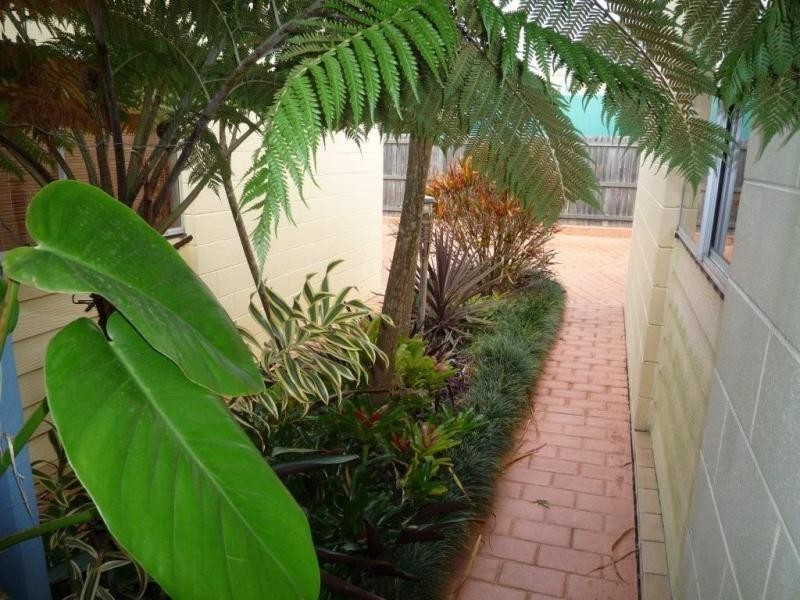 Unit 5/29 Arbor Street, Ferny Grove QLD 4055