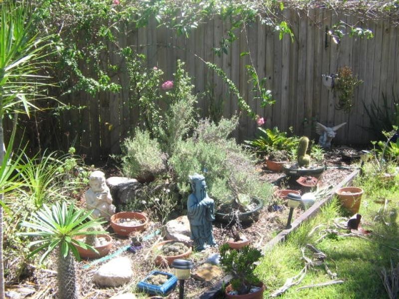 19 Douglas Road, Rocklea QLD 4106