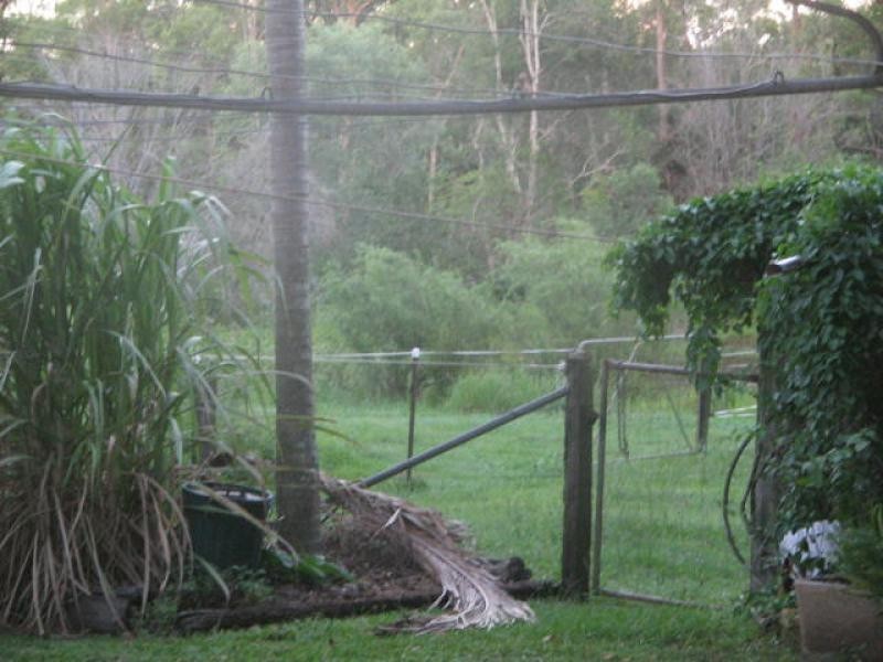 54 Boscoe Road, Narangba QLD 4504