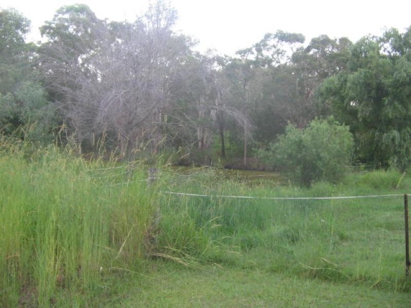 54 Boscoe Road, Narangba QLD 4504