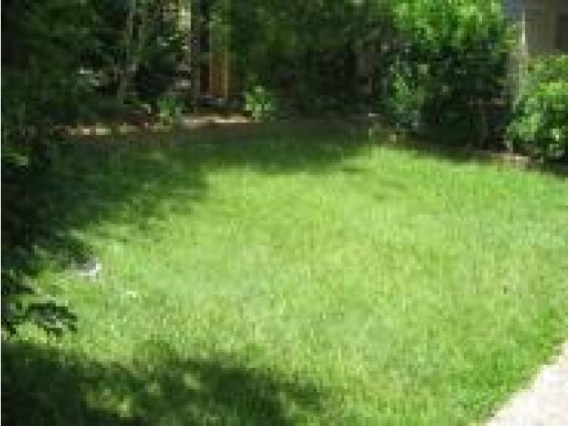 40 WHITE STREET, Everton Park QLD 4053